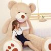 Bebek ve Peluş Oyuncaklar – Doldurulmuş ve Peluş oyuncak hayvanlar