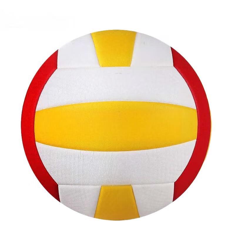 MOTION PARTNER Premium Colored Volleyball