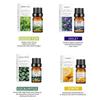 Dissolve Aromatherapy Essential Oils, Plant Essential Oils, Perfume Oils, Perfume Essential Oils, Aromatherapy Essential Oils for Humidifier