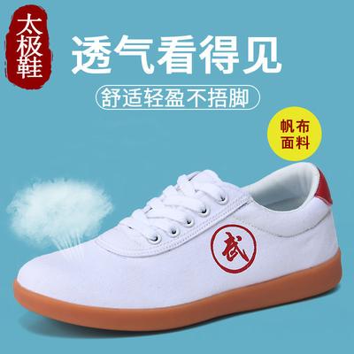 Chaussures de pratique de Tai Chi toile chaussures de pratique de Tai Chi entraînement Wushu semelle tendon de bœuf chaussures spéciales compétition chaussures de sport Tai Chi