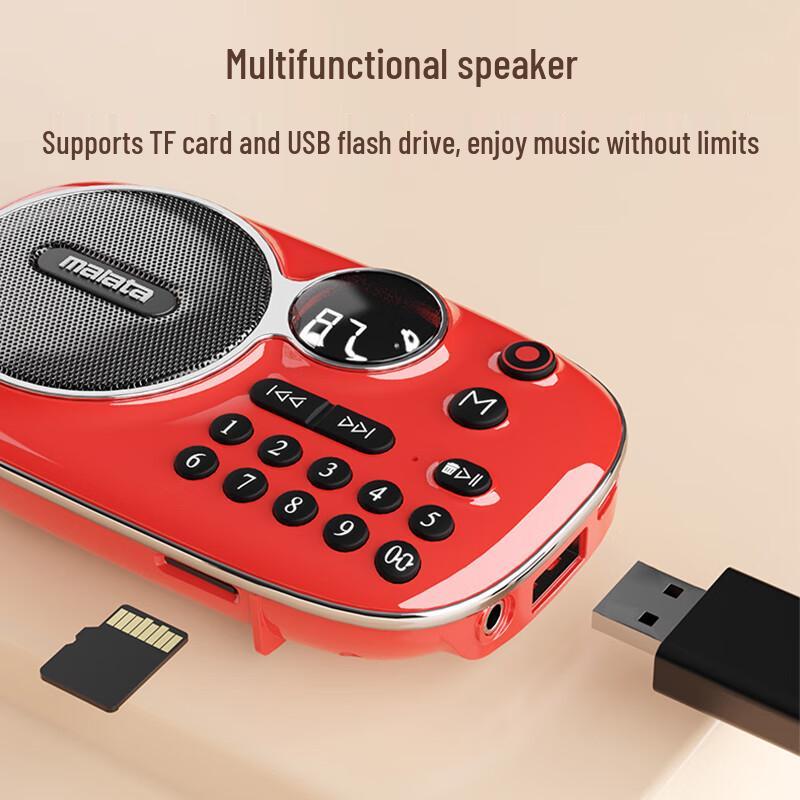 Malata Tragbarer Bluetooth FM Radio Lautsprecher CN-Stecker (Adapter enthalten)