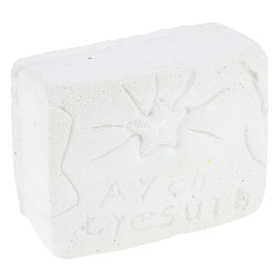 Archaeologist Archaeological Excavation Fossil Dinosaur Skeleton Set