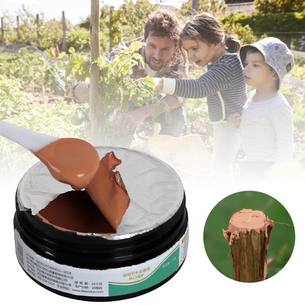 50g Pflanzenheilmittel Versiegelung Bonsai Wundheilmittel Baumschnitt Paste