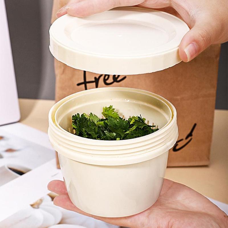 Fresh Keeping Box Of Onion Ginger Garlic Kitchen Vegetable Plastic Refrigerator Sealed Storage Scallion Drain Box