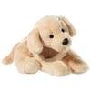 Dog Plush - Heunec - 480 Mm - Beige