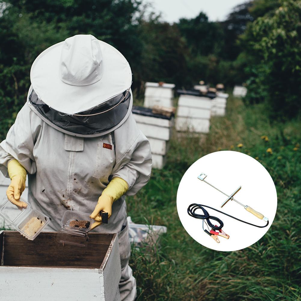12V Oxalic Acid Vaporizer Evaporator Beekeeping Varroa ment Bee Hive Fumigation