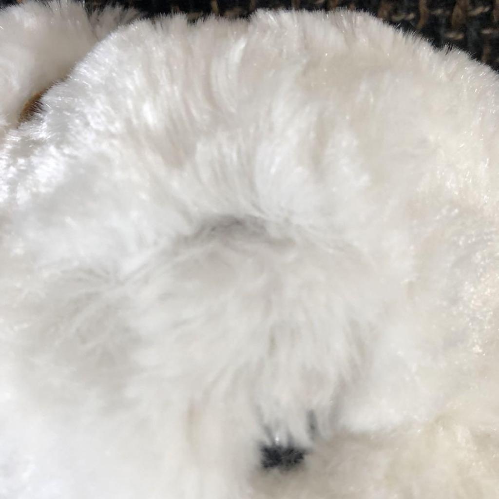 [USED] Familiar Famichan Bear Teddy Bear Plush Toy