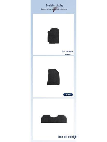 EADO New Energy 2015-2017 Full Coverage Nylon Floor & Trunk Mats