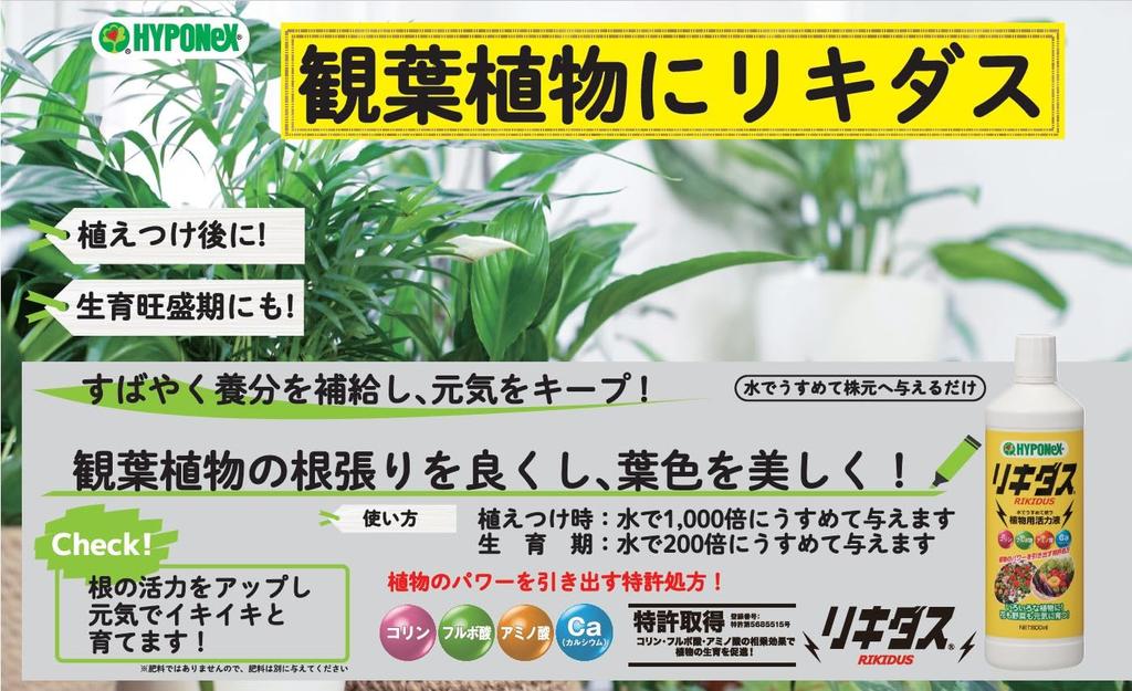 Hyponex Japan Liquidus Energizer 800ml