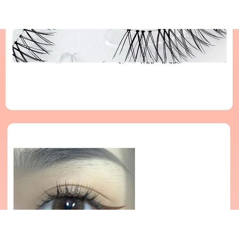 Lashie - Natürliche Mehrfachpackung künstliche Wimpern