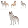 Husky Dog Handcrafted Pvc Figurine For Office Desk Decor And Gift Ideas