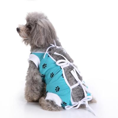 Cani – Prodotti per la cura dei cani