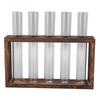 5 Test Tube Plant Terrarium Transparent Observe Growth Status Water Plant Holder with Wooden Stand for Herbs