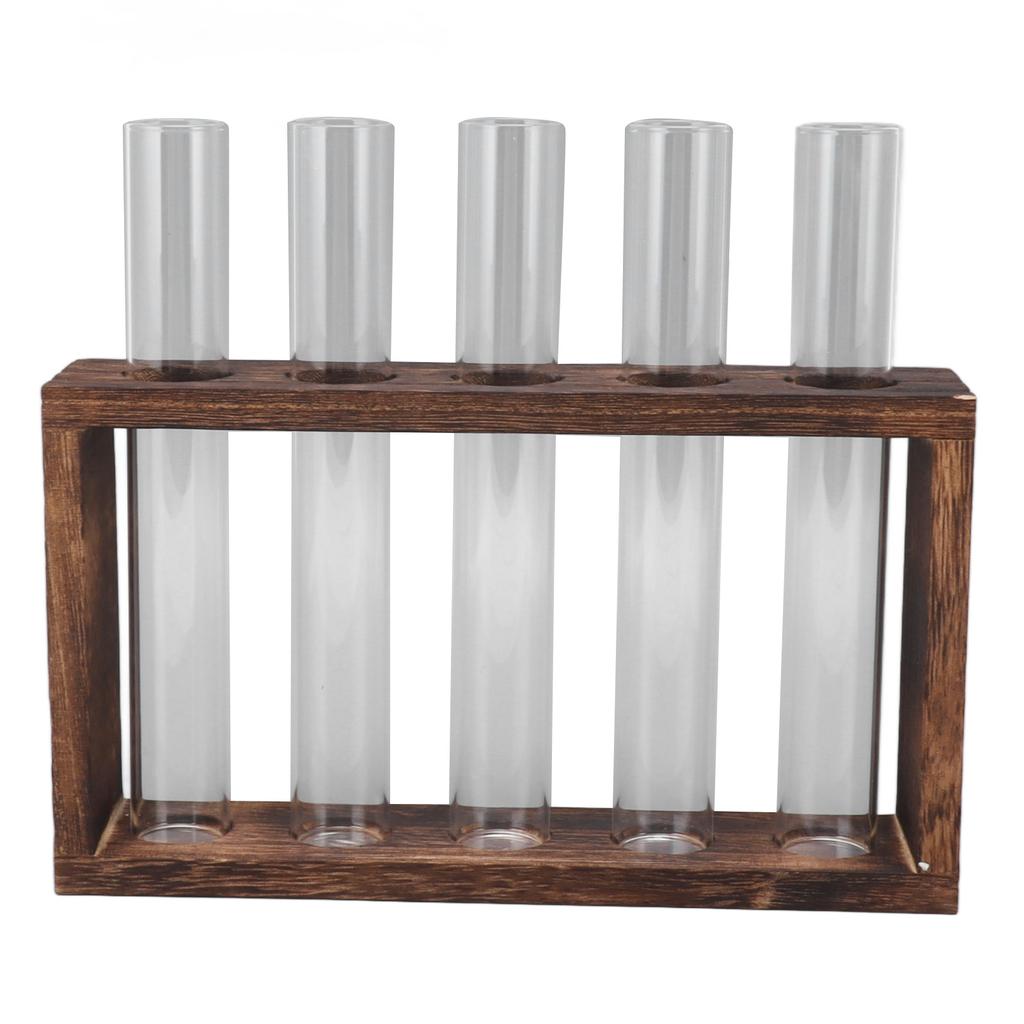 5 Test Tube Plant Terrarium Transparent Observe Growth Status Water Plant Holder with Wooden Stand for Herbs