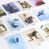 Oracle Deck Card Nature Soul Yoga Wisdom 40 Cards Full English PDF Guide Book Divination Board Games Home Playing Tarot Wayta