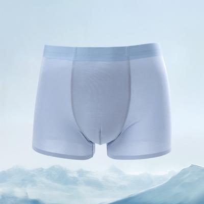 Men's Mulberry Silk Underwear