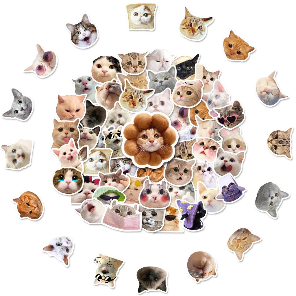 50 Sheets of Hilarious Cat Emoji Stickers - Cute & Funny Cat Head Designs