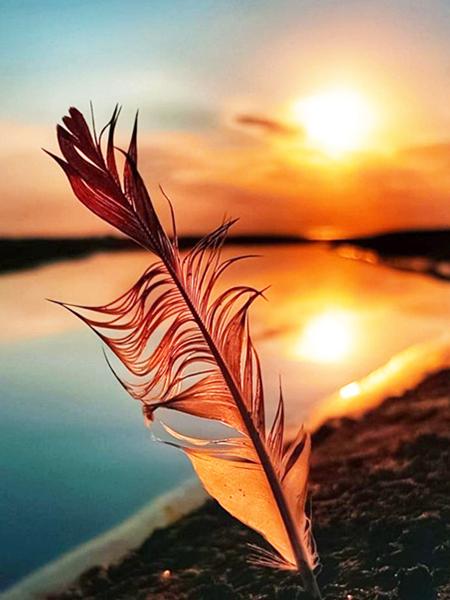 5D DIY Diamond Painting Sunset Cross Stitch Kit Diamond Embroidery Feather Mosaic Scenery Sale Picture Rhinestones Art