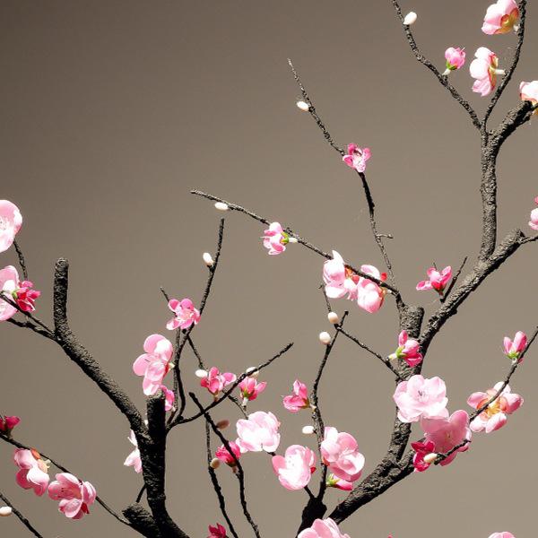 Elegant Pink Plum Blossom Dried Flower Bouquet for Home Decoration