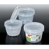 Condiment Storage Pack with Drainer and Lid, Easy-to-See Semi-Transparent Container for Green Onions, Myoga, Cherry Tomatoes, and Soba and Udon Noodle