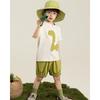 Yoyou Boys' Dinosaur Summer Short Set