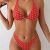1011 New European and American Polka Dots Black Two-piece Bikini Triangle Neck Swimsuit Women