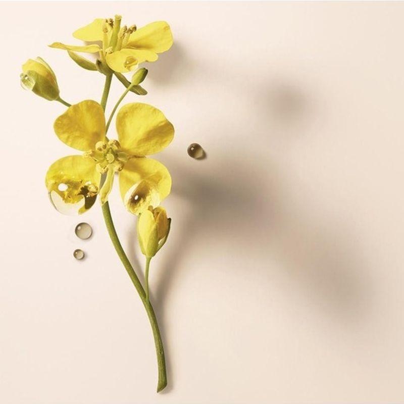 Absolue Keratin Damage Repair Essence 100ml