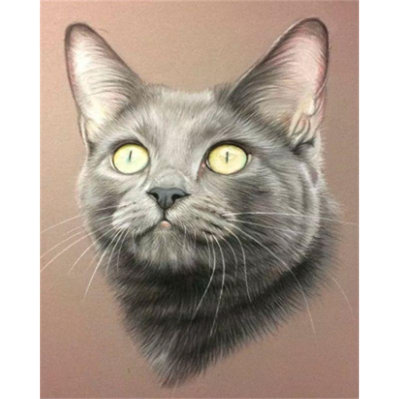 

5D алмазная живопись животное вышивка крестом ремесло полная круглая дрель Алмазная вышивка полный комплект домашний декор ремесленный комплект Full Round 20x25CM