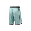 Li Ning Basketball Collection Basketball Shorts Men's Lake Gray Blue AAPR353-4