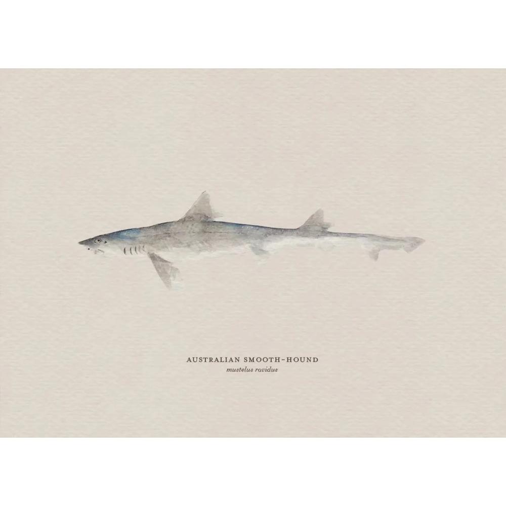 Vintage Bass Fish Trout Fly Fishing Posters Prints Canvas Painting Fisherman Retro Wall Art Picture for Living Room Home Decor