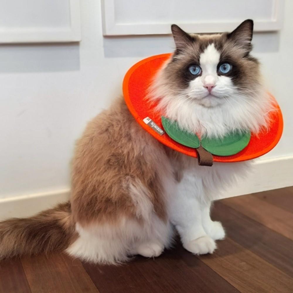 Weiche Fruchtform Kitty Genesungs-Halskrause Anti-Biss Hund Schutz-Halskegel Stoppt Lecken