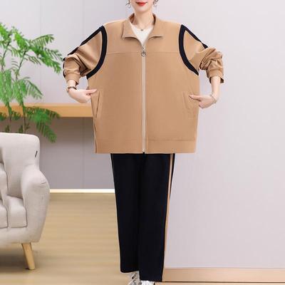 Elegante Damen Sets Übergröße Vintage Kleidung Frühling Herbst Plus Size Zweiteiler