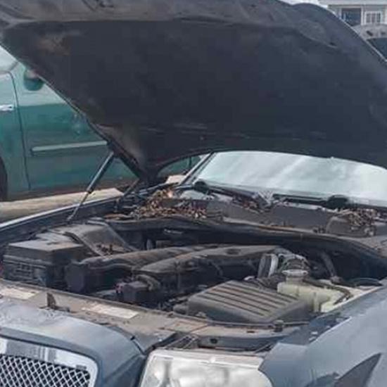 Front Hood Lift Support Gas Struts For Chrysler 300 Dodge Charger Magnum 2Pcs