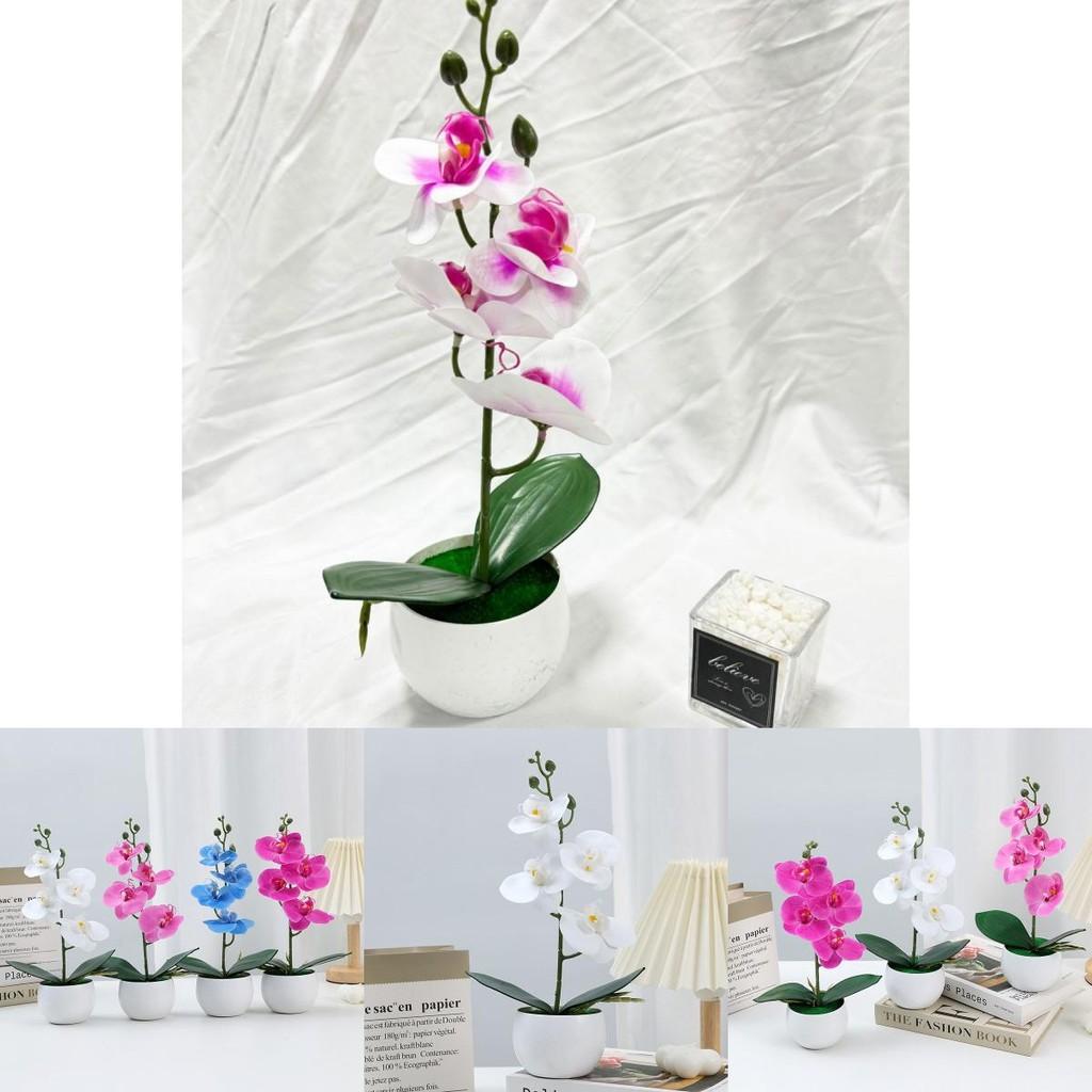 Durable Plastic Butterfly Orchid Fake Plant With Textured Finish For Celebrations And Photo Shoots