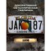 Souvenir Metal License Plate, Custom Auto Sign 15x30cm