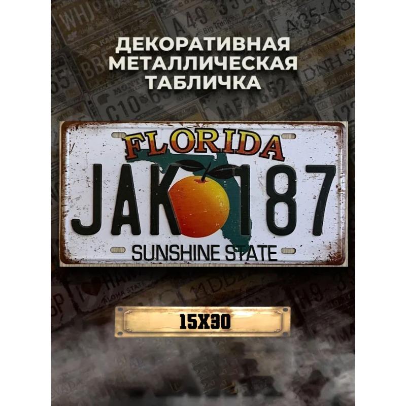 Souvenir Metal License Plate, Custom Auto Sign 15x30cm