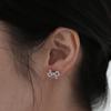 [Silver925] Ernan Knot Earrings