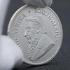 Kruger coin, deer, silver plated, South African commemorative medal, commemorative coin, 2022-2026