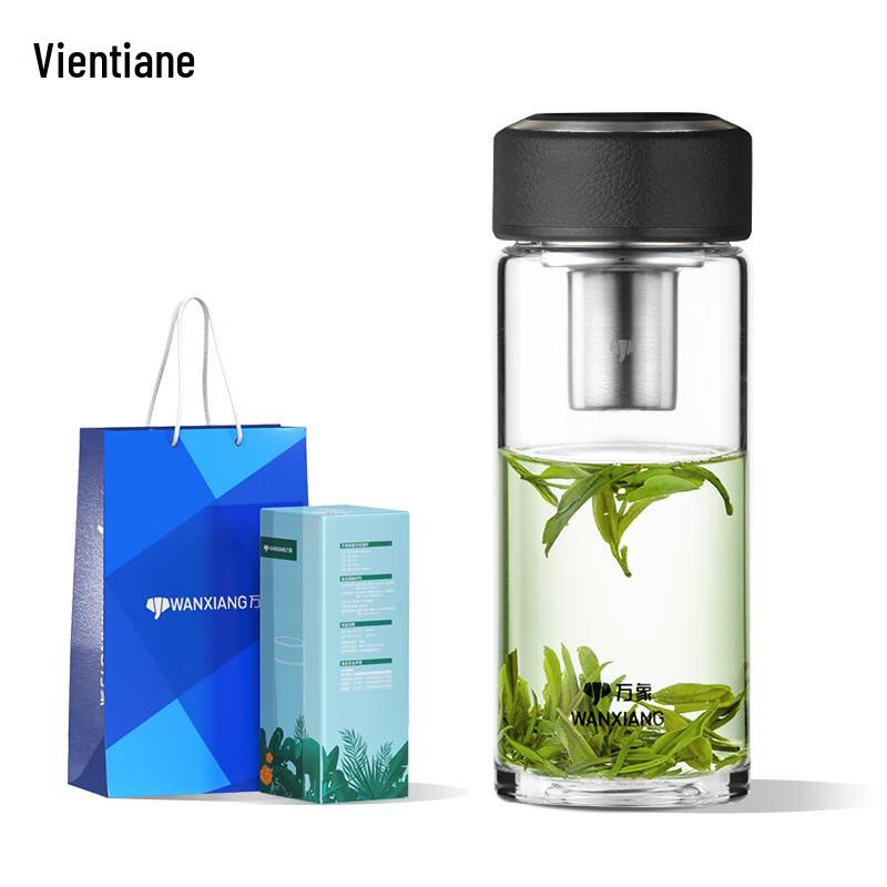 Portable Borosilicate Glass Tea Bottle with Infuser