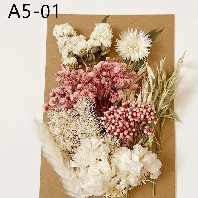 Exquisite Eternal Dry Flower Ancient Style Group Fan Material Pack for Children's Handmade Exclusive Decoration Dried Flowers