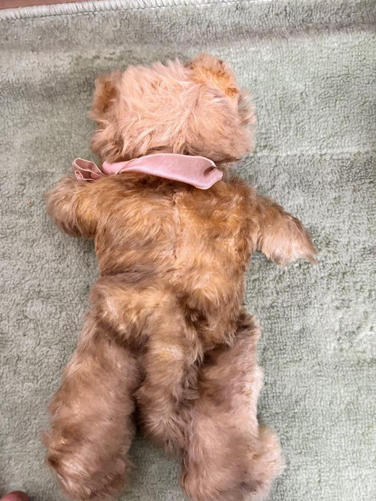 [USED] Knickerbocker Kitty Cat Teddy Bear