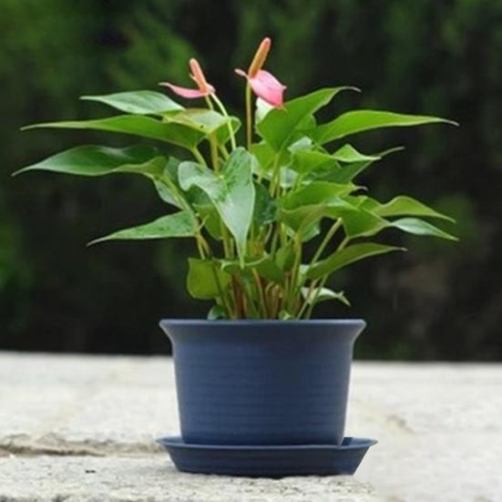 Nordic Style Succulent Plant Creative Balcony Round Plastic Flower Pot with Tray