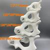 Fish Tank Oranament Aquarium Decor 3D Printed Anime Style Skull Reptile Hideouts for Terrarium Habitat 100% Safe Home Decoration