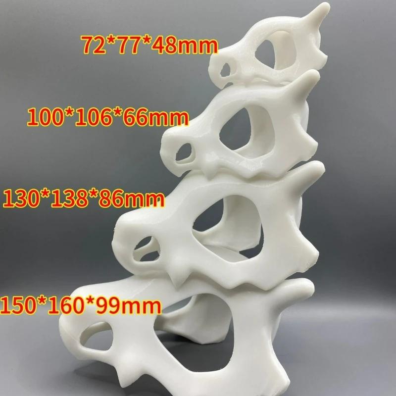 Fish Tank Oranament Aquarium Decor 3D Printed Anime Style Skull Reptile Hideouts for Terrarium Habitat 100% Safe Home Decoration