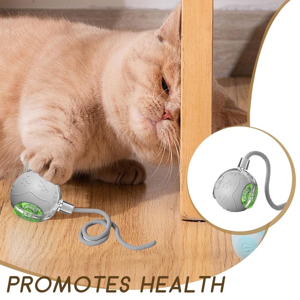 Electric Cat Ball Toy With Rope Fun Rechargeable Puppy Game Silicone Jumping Ball Cat Toy For Indoor Play Enrichment Exercise