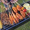 ZISIZ Portable Folding Charcoal BBQ Grill