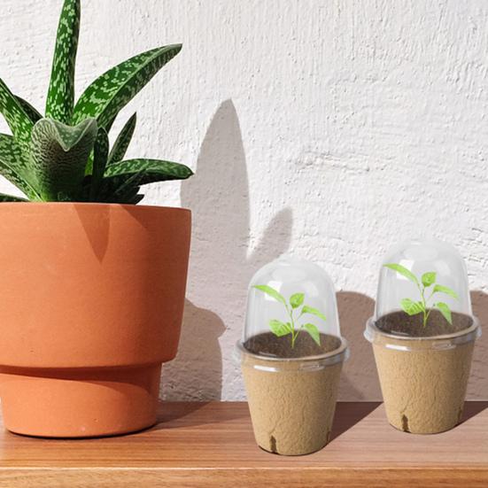 10/20 st plantskolakrukor med fuktkupol Miljövänlig allmänt använd biologiskt nedbrytbar startkrukaplanteringsbehållare