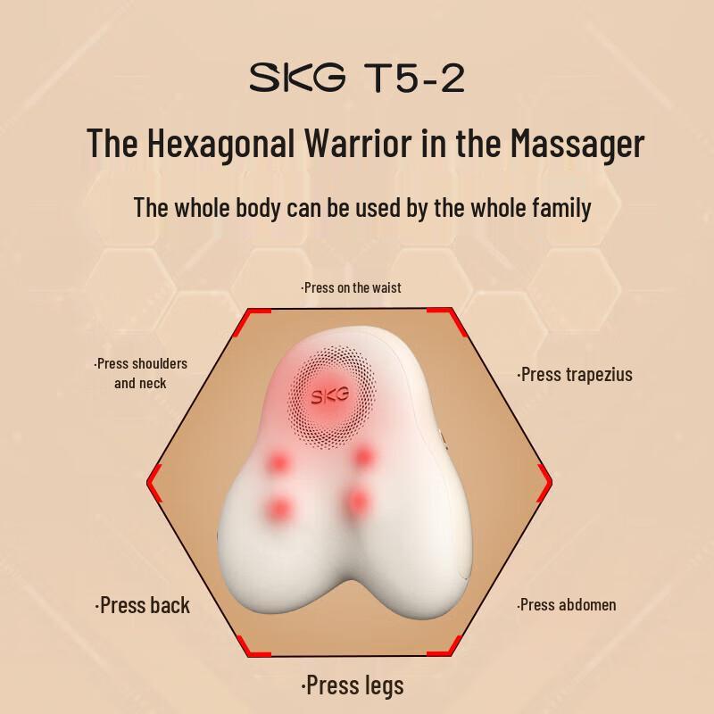 SKG Heated Lumbar & Back Massager Cushion