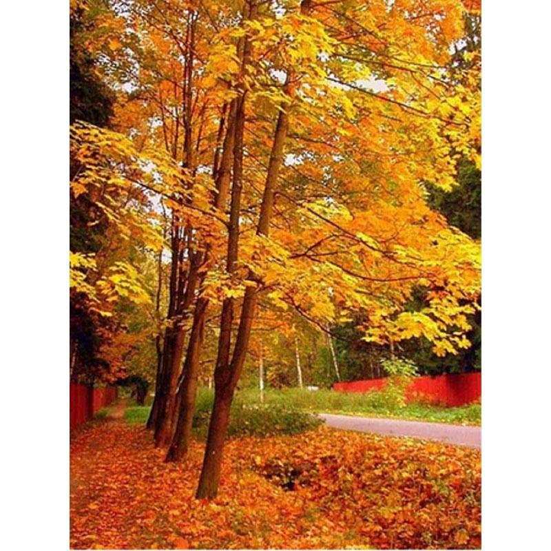 5D DIY Diamond Painting Autumn Forest Diamond Embroidery Cross Stitch Kit Full Rhinestone Mosaic Home Decor