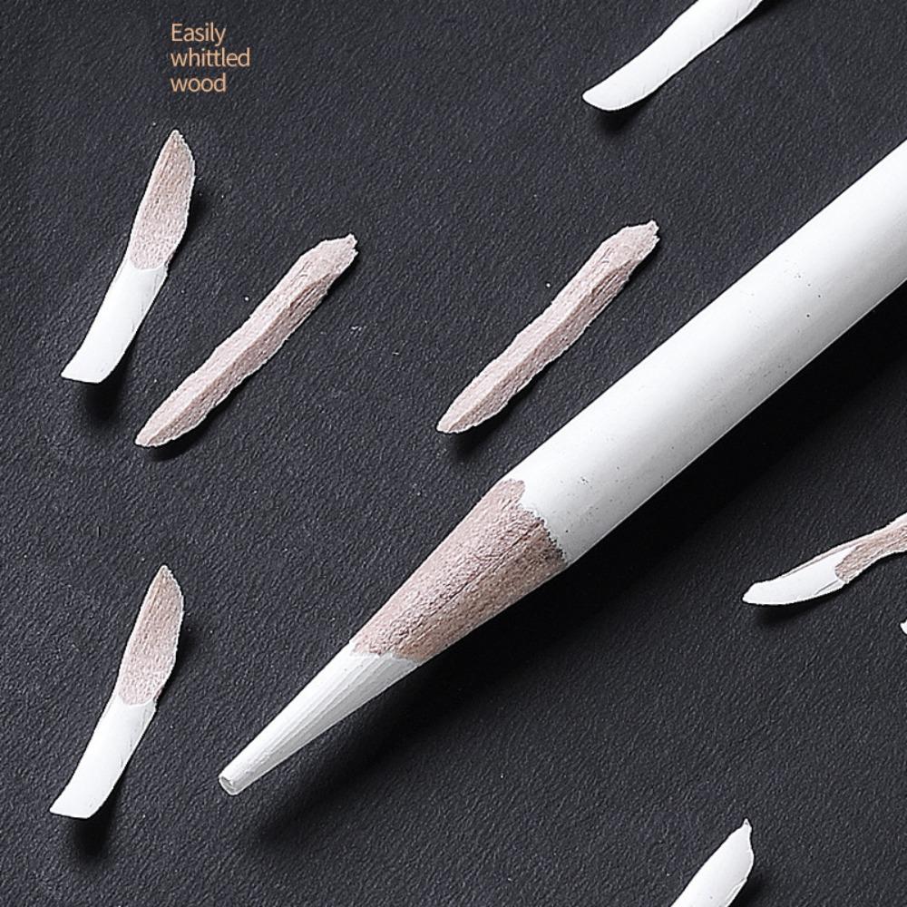 6 Pieces/Set Professional Pencil Black White Charcoal Pencils Charcoal Pen Sketch Pencil  Drawing